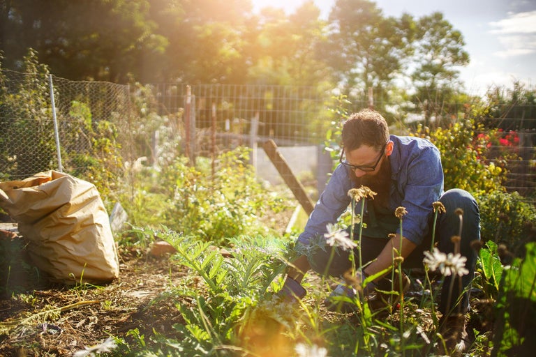 Gardening Courses