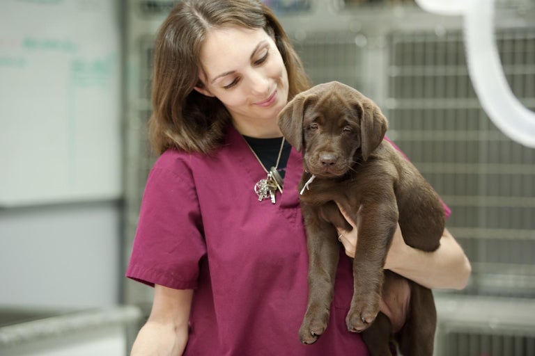 Animal Science