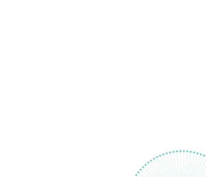 data bg2 mobile 300x258
