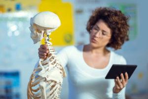 anatomy and physiology 300x200