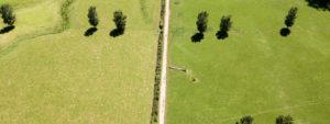 conservation land management 300x113