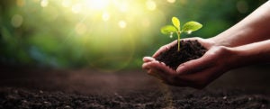 Sustainability