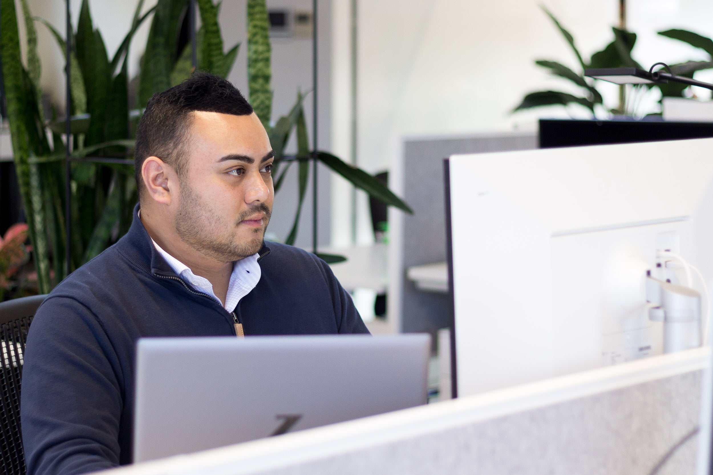 Concentrated employee working at desk