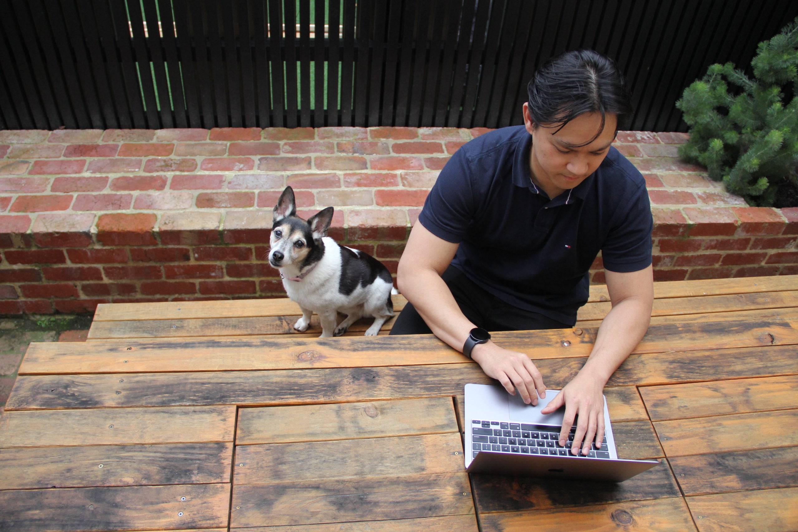 Employee with dog scaled Employee with dog scaled
